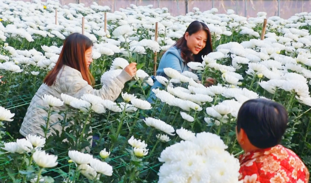 �F�ǅ^(q��)���ջ������M�ء���