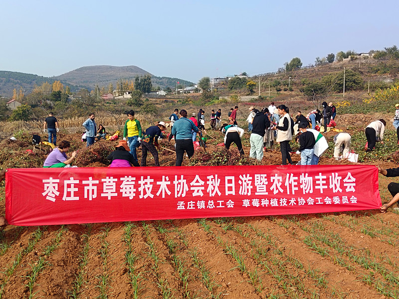 ���Ѕ^(q��)��ݮ�Nֲ���g(sh��)�f(xi��)��(hu��)�_չ��Ȥζ�ڼt�� �����l(xi��ng)�����d�����(d��ng)