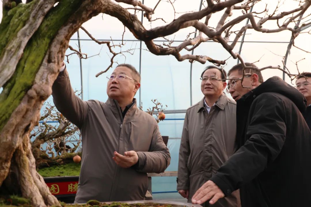 ���f��ί����ӛ������ί��ӛ����(gu��)�ށ�(l��i)�F�ǅ^(q��)�{(di��o)��ʯ��a(ch��n)�I(y��)�l(f��)չ����